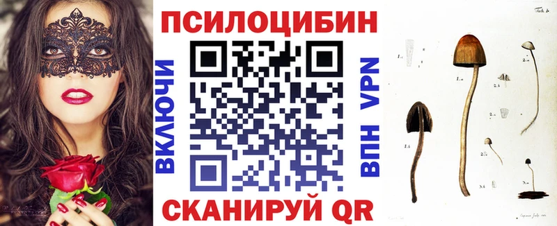 Галлюциногенные грибы Psilocybe  Купить  Маркс 